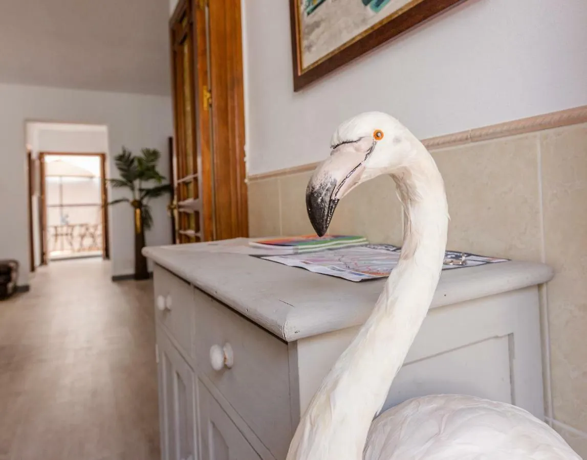 Alhaurin Old Town, Casa Flamingo, 2 Bed Apartment Alhaurín el Grande